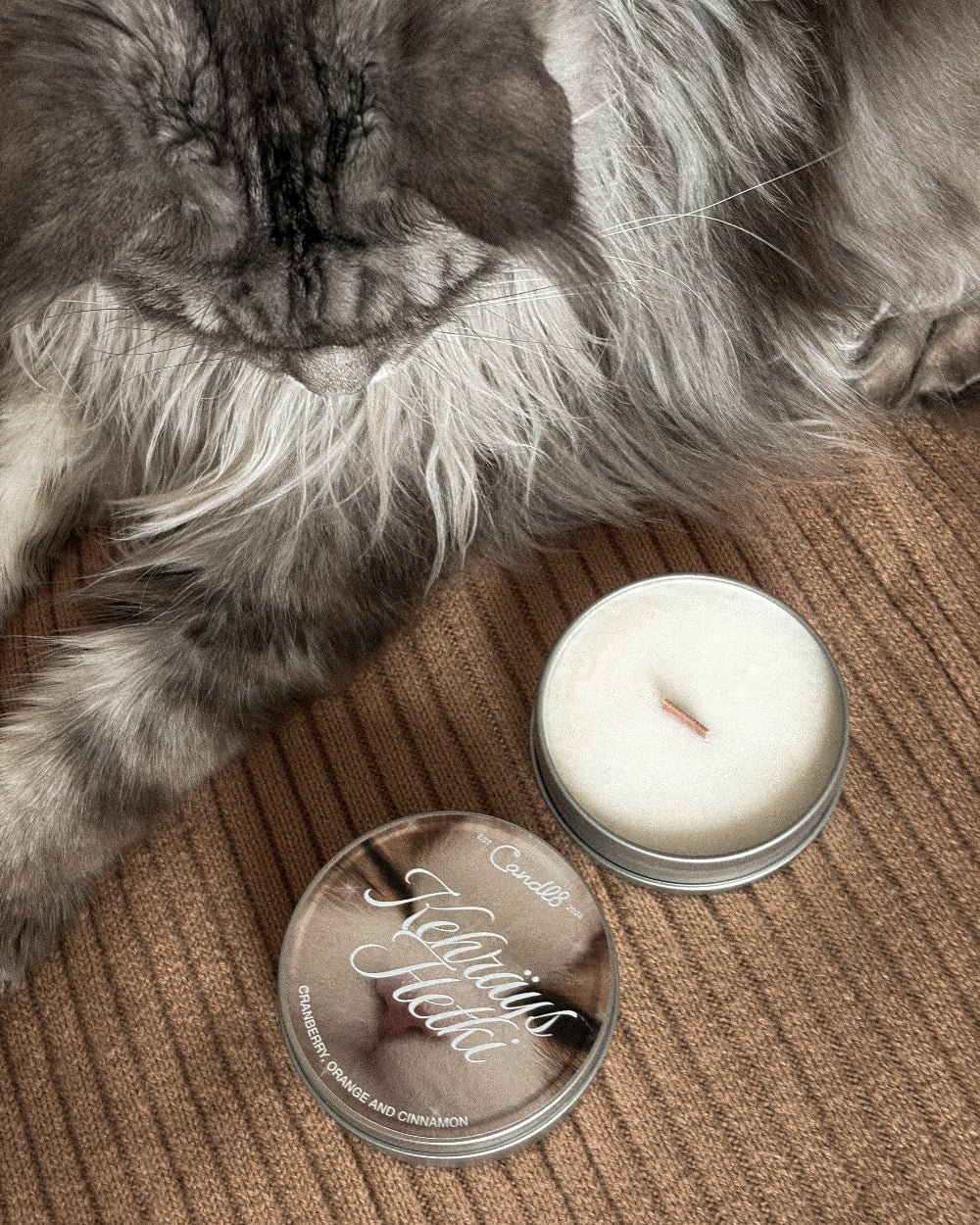 A fluffy gray cat lies on a brown ribbed blanket beside an open round metal tin candle and its lid, which reads 'Candle Luxe' and 'Mauve'.